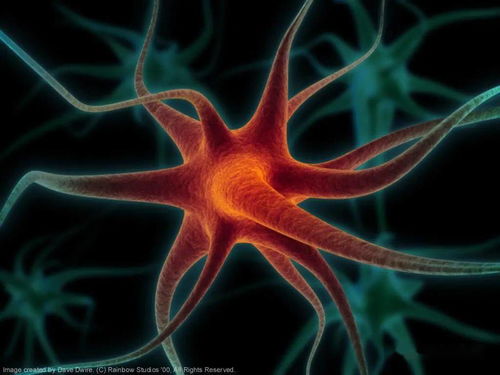 高考生物熱點 生命活動調節中的相關實驗分析與探究