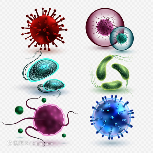 3D現(xiàn)實(shí)中的微生物與細(xì)菌 隔離、媒集與微觀世界的探索