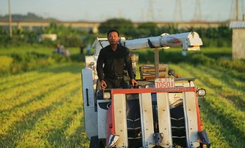 在世界工廠的縫隙里耕耘 一位果蔬種植者的水稻夢與農(nóng)民正高職稱之路