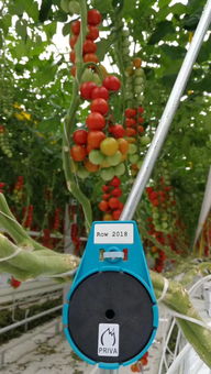 中央政治局定調(diào)明年經(jīng)濟，2019一號文件即將發(fā)布聚焦谷物種植