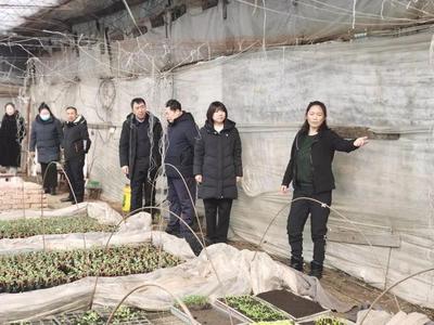 巾幗聚力促振興 敦化市婦聯(lián)攜手市檔案館深入長青村調(diào)研果蔬種植產(chǎn)業(yè)