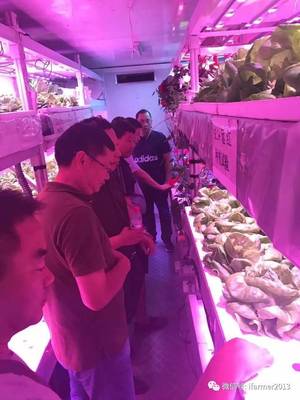 智慧農(nóng)業(yè)新篇章 宿遷市領(lǐng)導(dǎo)參觀旭田植物工廠，共話苗木種植現(xiàn)代化未來